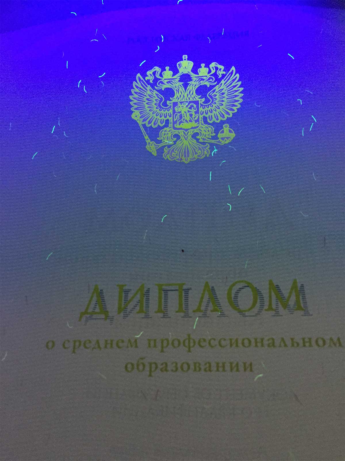 Диплом техникума, колледжа 2014-2025 Фото Диплом техникума, колледжа 2014-2025 Фото